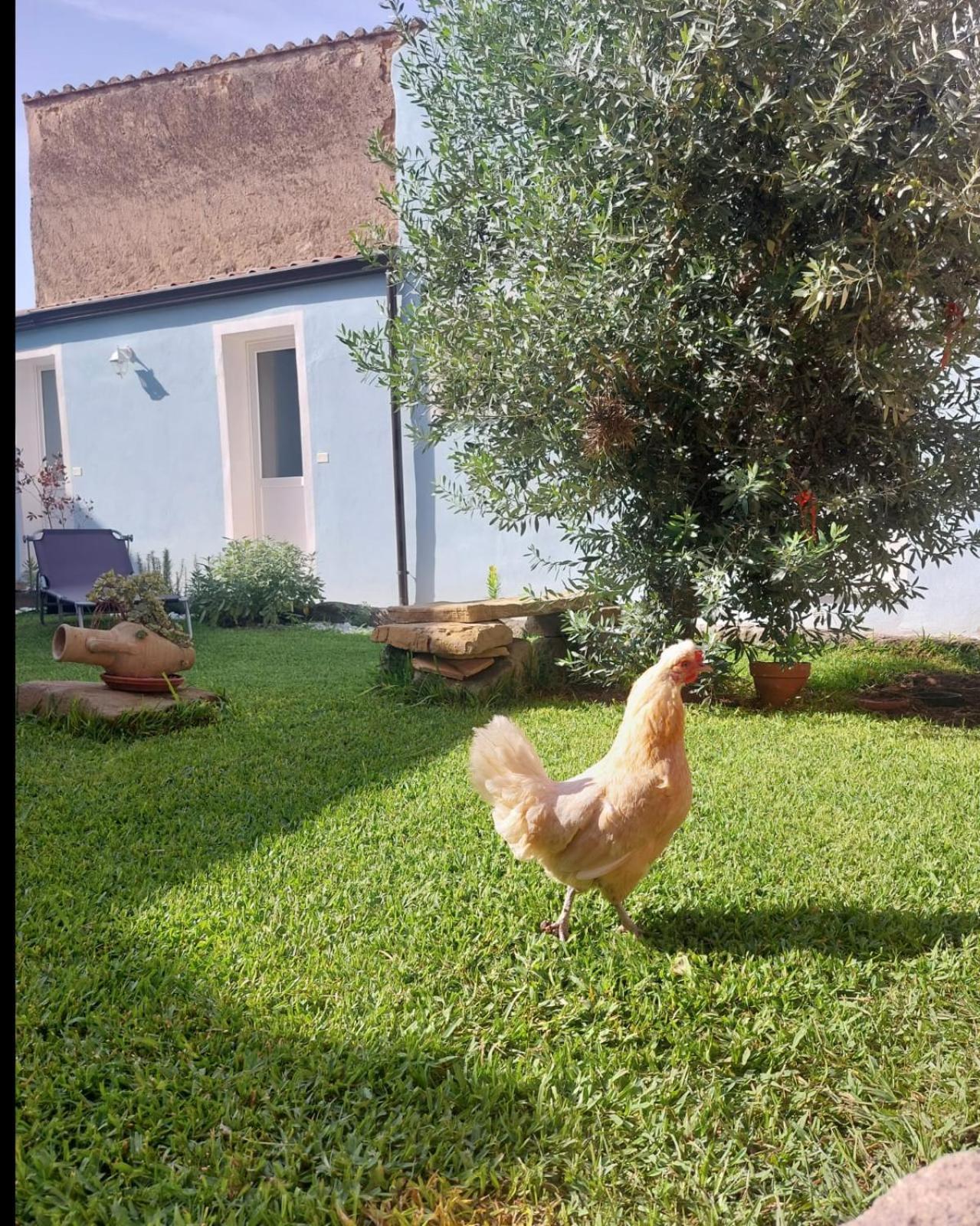 B&B Il Borgo Delle Emozioni Dolianova Экстерьер фото